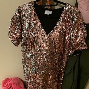 Universal Standard J.Crew Dress